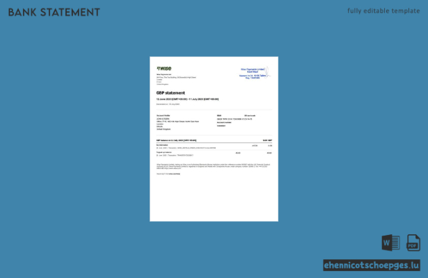Beispiel eines Kontoauszugs von UK Wise Payments (Vorschau)